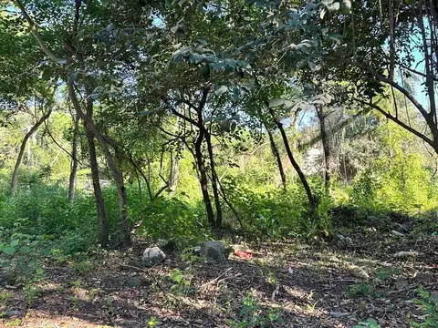 Terreno en Venta de 1246,0 m2