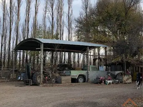 Chacra 21ha, en Ingeniero Huergo