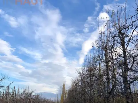 Chacra 21ha, en Ingeniero Huergo