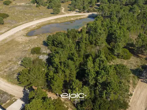 Terreno en Venta de 1007,0 m2