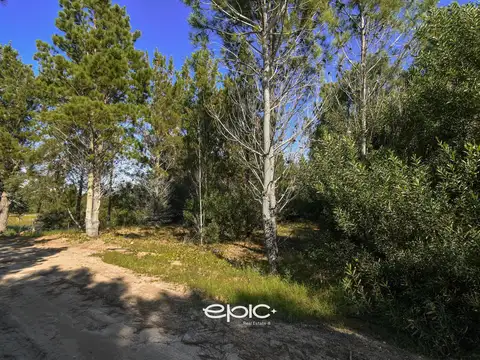 Terreno en Venta 50  mts Fondo