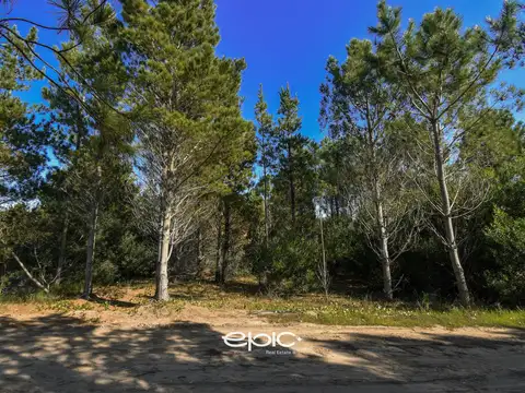 Terreno en Venta 20  mts Frente