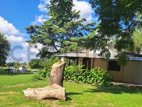Lago Mascardi , Piso 0