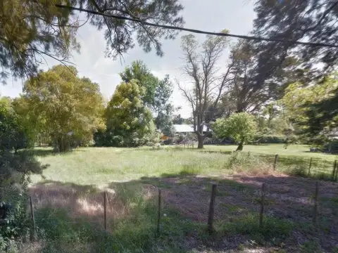 Terreno en Venta en Arturo Segui, USD 21.000