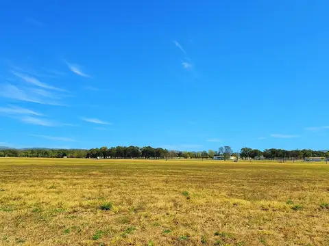 La Arbolada, Lote Nº167