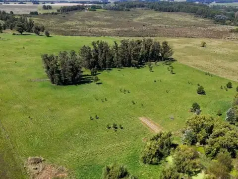 Quinta - Venta - Uruguay, Punta del Este