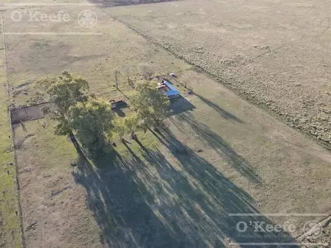 Campo ganadero en venta de 1362 has en Olavarria