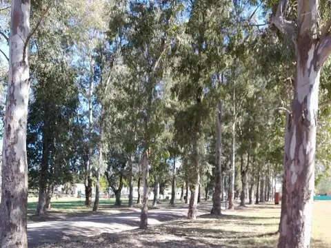 Terreno en Venta de 1200,0 m2