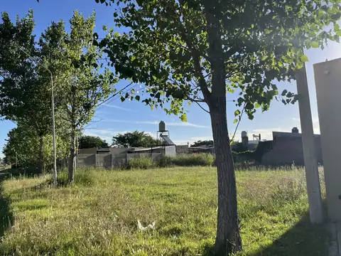 Campiñas de Piñeiro Lote N°591