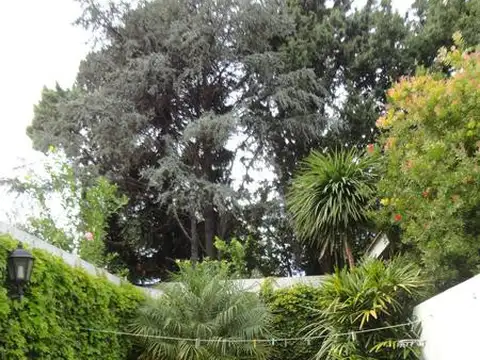 Casa - Florida Belgrano-Oeste