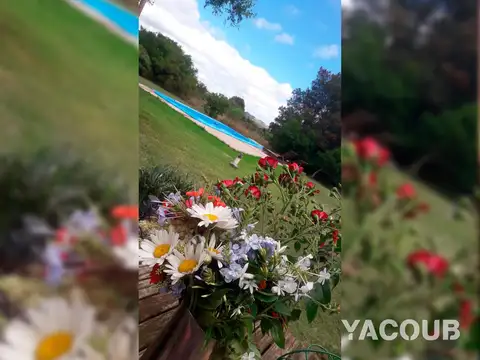 Casa Monoambiente con 1 baño