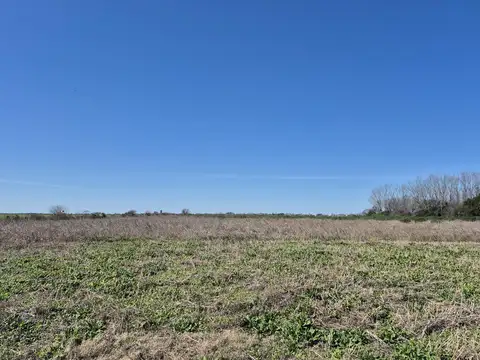 Terreno en Venta de 99000,0 m2