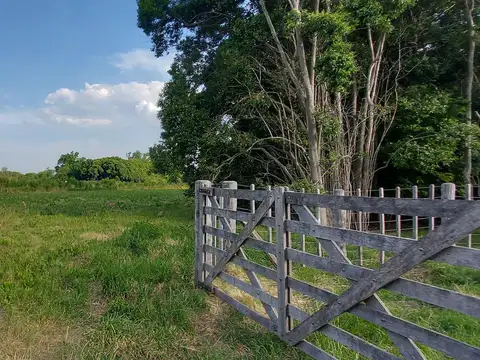 Chacra en calle 683 (Ruta 41 km 111,5)