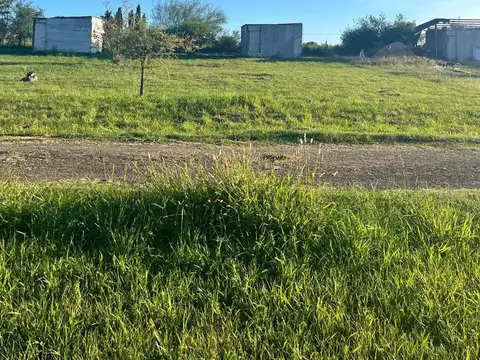 Bulevar Artigas 3100