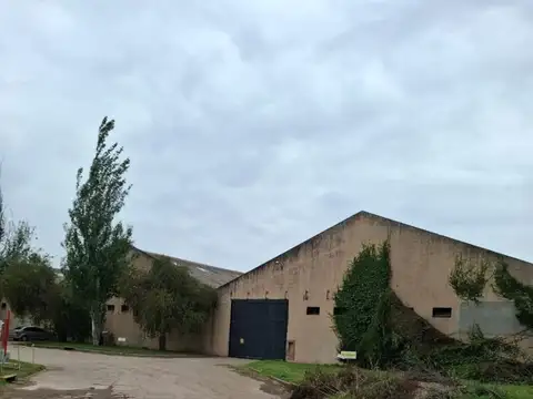 Galpon en Alquiler en Lujan, USD 3