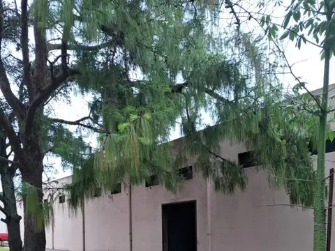 Depositos En Alquiler  En Zona Indrustrial Lujan 