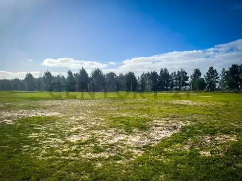 Los Castaños Nordelta , Piso 0