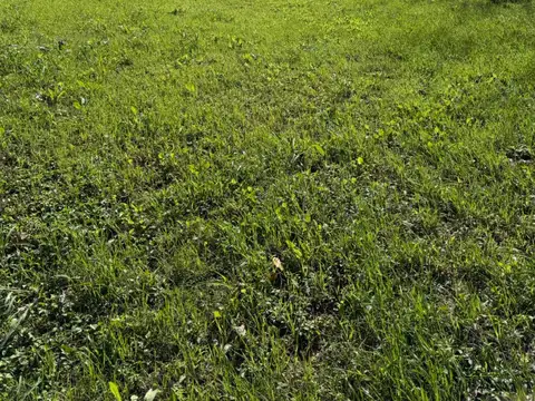 Terreno en Venta 20  mts Frente