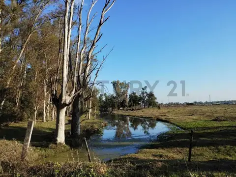 4 HECTAREAS CON ARBOLEDA Y ARROYO - SUP VENDIBLE 18.838 m2 -