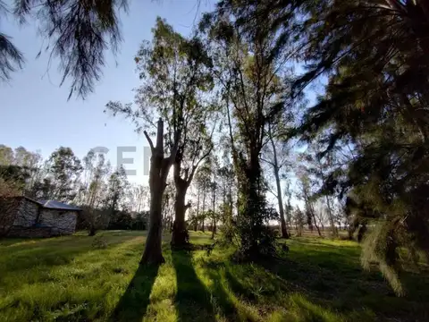 Campo en Venta de 3,68  ha