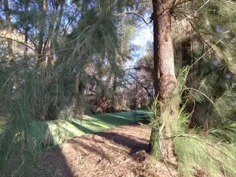 La Pista y Ruta 26 , Piso 0