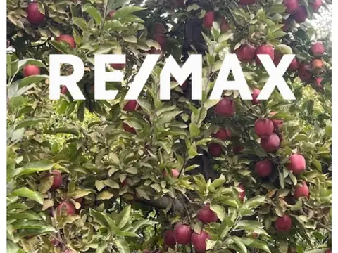 VENTA CHACRA FRENTE DE RUTA - CIPOLLETTI