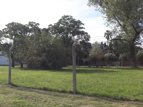 Colectora Gaona (Norte) 5200