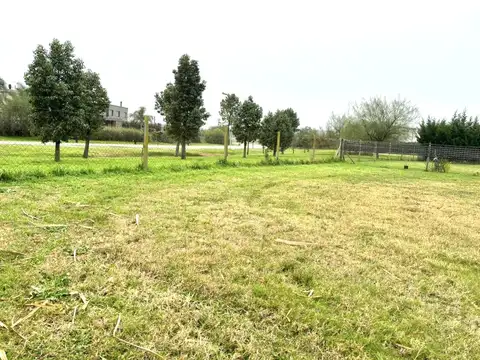 Terreno en Venta de 831,0 m2