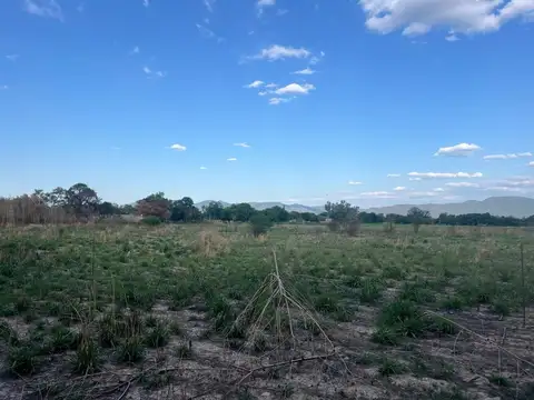 Terreno en Venta en Zona Centro, USD 165.000