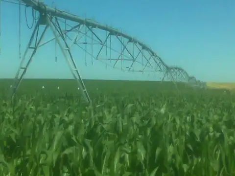 Estancia Los Biondos