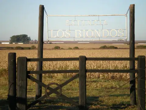 Campo en venta en Gualeguaychu