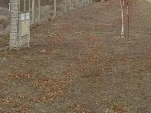 Barrancas de Dina Huapi