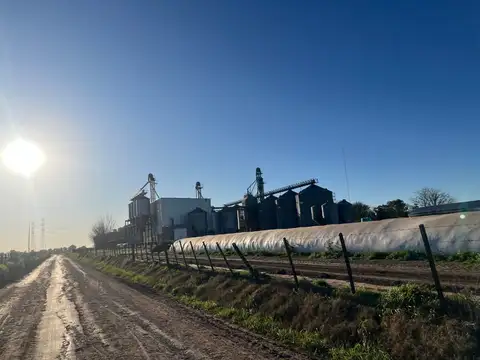 CAMPO 1,3 HECTÁREAS VENTA EN V. DEL PINO KM 44