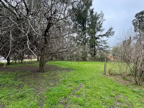 CASA QUINTA CON AMPLIO Y FRONDOSO JARDIN