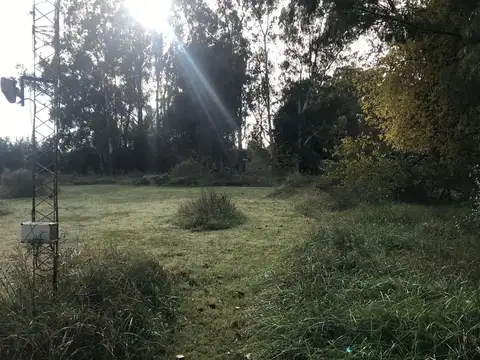 TERRENOS EN VENTA PUNTA INDIO