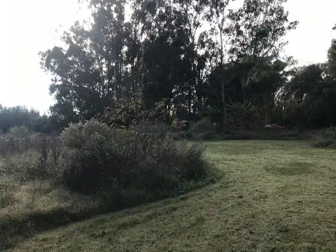 Guaranies entre Calchaquies y Guaicurues