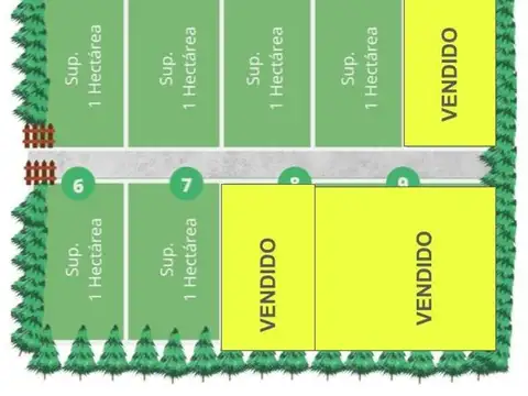 Lote De 1 Ha - Chacra Don Luis 1