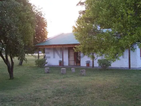 Leandro N. Alem 500, Piso 0