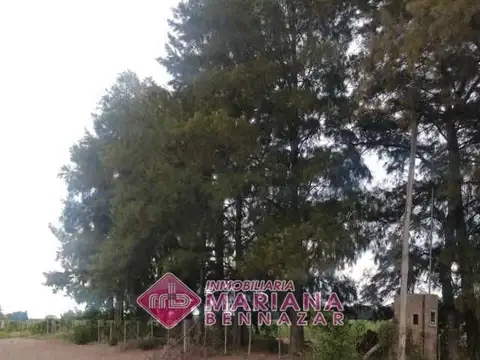 CAMPO EN VENTA - BARADERO