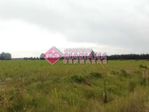 CAMPO EN VENTA - BARADERO