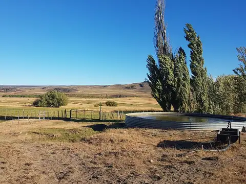 Estancia en Cordillera, producción, caza y pesca...! Excelente oportunidad...!