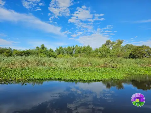 Villa Paranacito - Alto Pecan 100