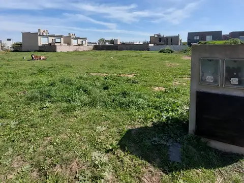 Terreno en Venta 12  mts Frente