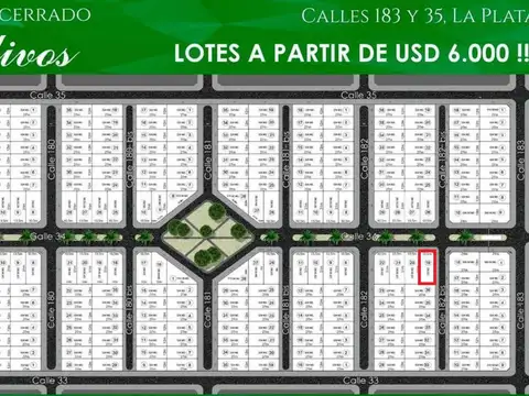 Los Olivos - 183 y 34