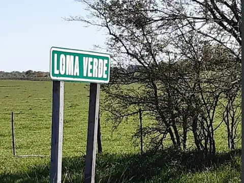Loma Verde