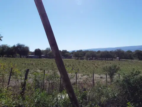 Terreno en Venta de 1115,0 m2