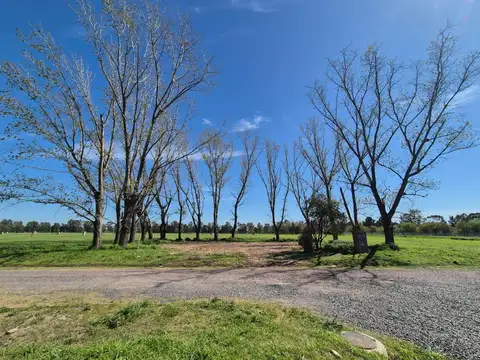 Terreno en Venta 50  mts Fondo