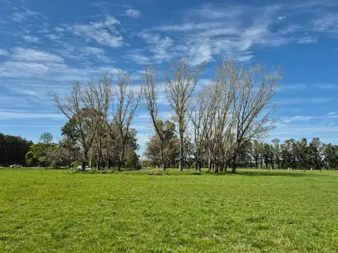 Lote Barrio Cerrado Los Robles - Cañuelas