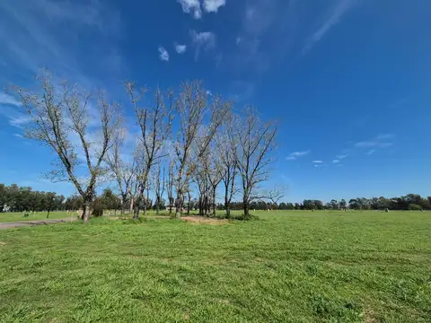 Terreno en Venta de 1150,0 m2