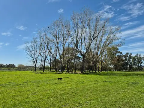 Lote en Barrio Cerrado Los Robles, Cañuelas